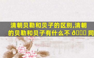 清朝贝勒和贝子的区别,清朝的贝勒和贝子有什么不 🕊 同